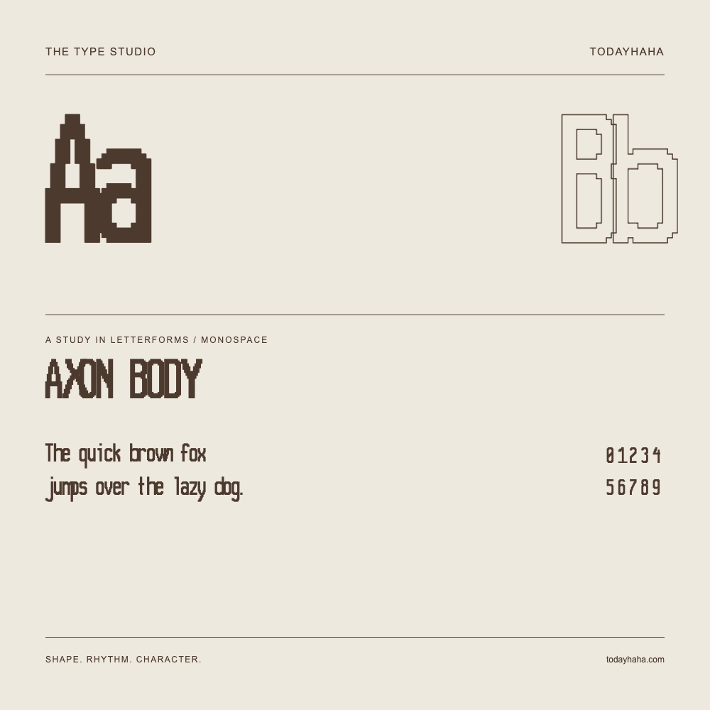 AXON BODY — 字形展示：示例句子与数字