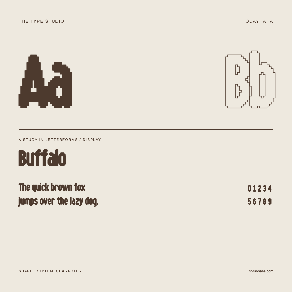 Buffalo — Buchstabenstudie mit Beispielsatz und Ziffern