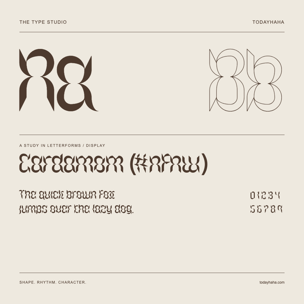 Cardamom (#nfnw) — Buchstabenstudie mit Beispielsatz und Ziffern