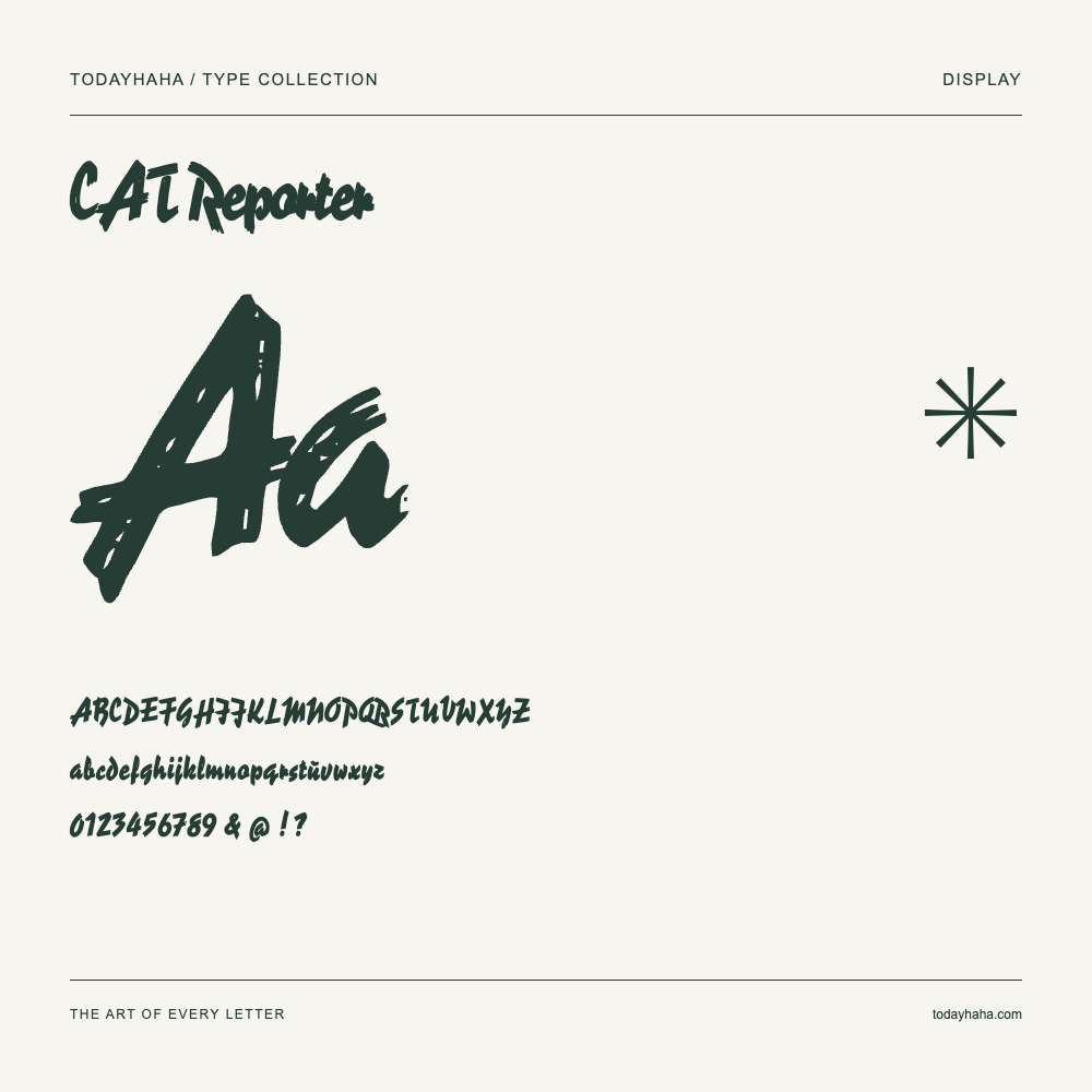 CAT Reporter — Muestra de mayúsculas, minúsculas y números