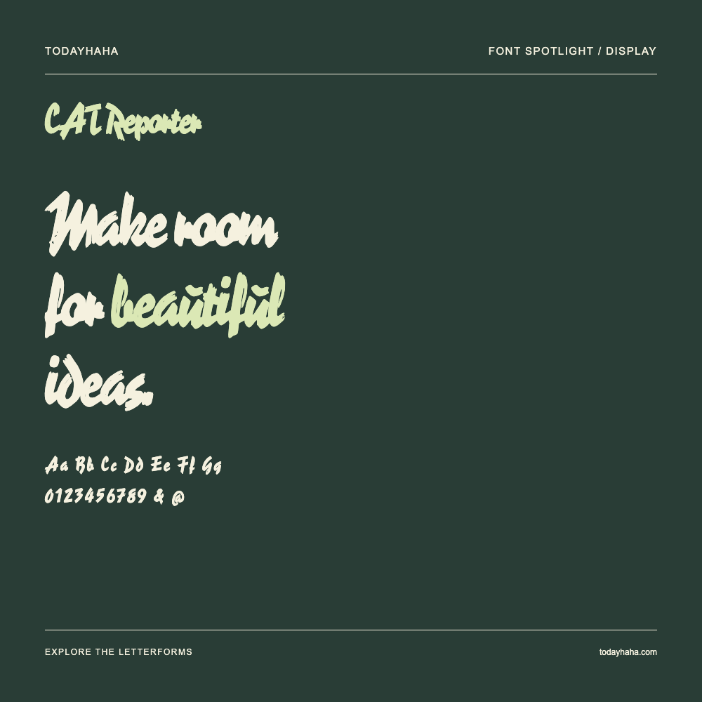 CAT Reporter — Póster tipográfico con texto de muestra