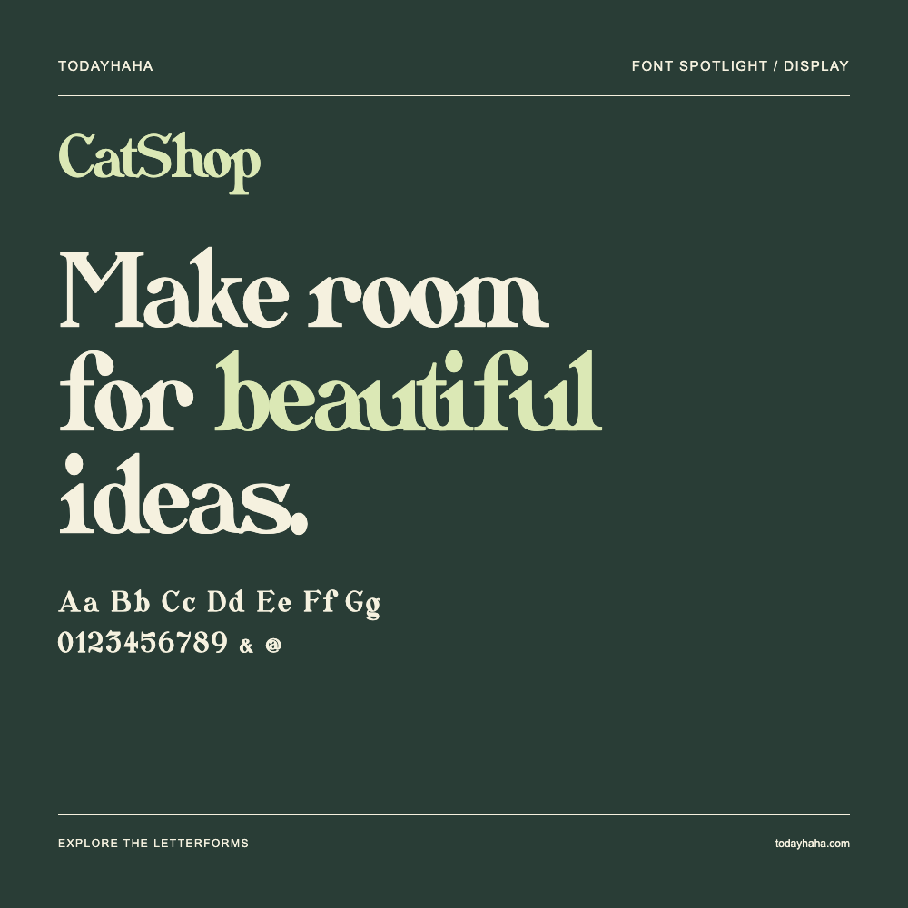 CatShop — Affiche typographique avec exemple de texte