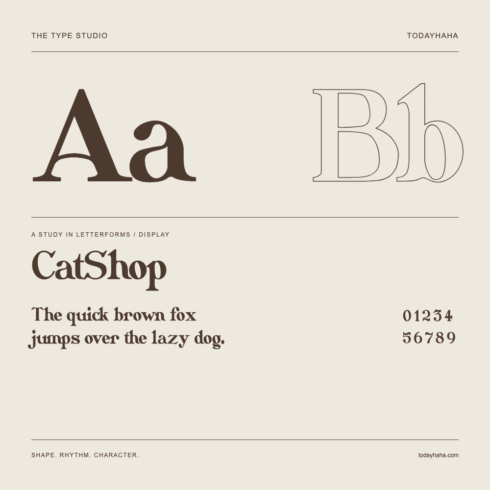 CatShop — Étude des lettres avec une phrase et des chiffres