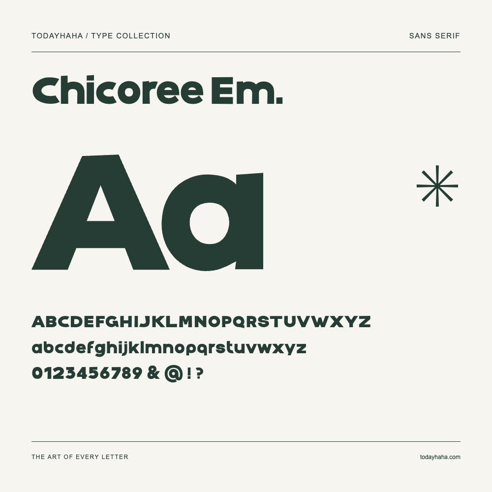 Chicoree Em. — Campione con lettere maiuscole, minuscole e numeri