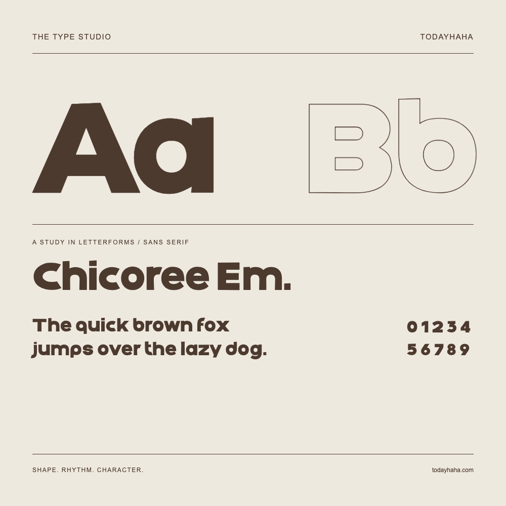 Chicoree Em. — Studio delle lettere con frase e numeri