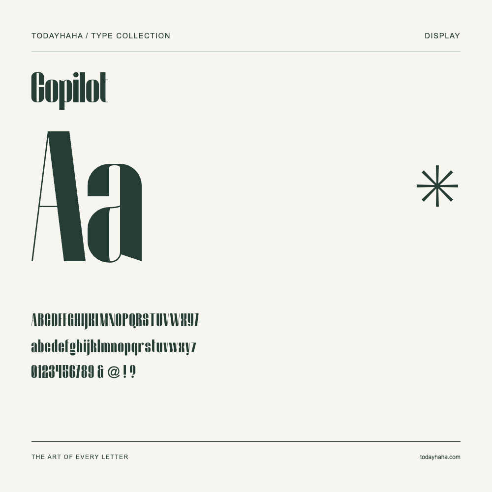 Copilot — Font specimen with uppercase and lowercase letters and numbers