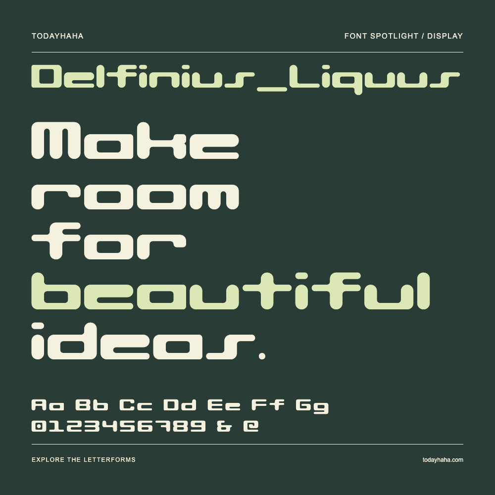 Delfinius_Liquus — Typografieposter mit Beispieltext