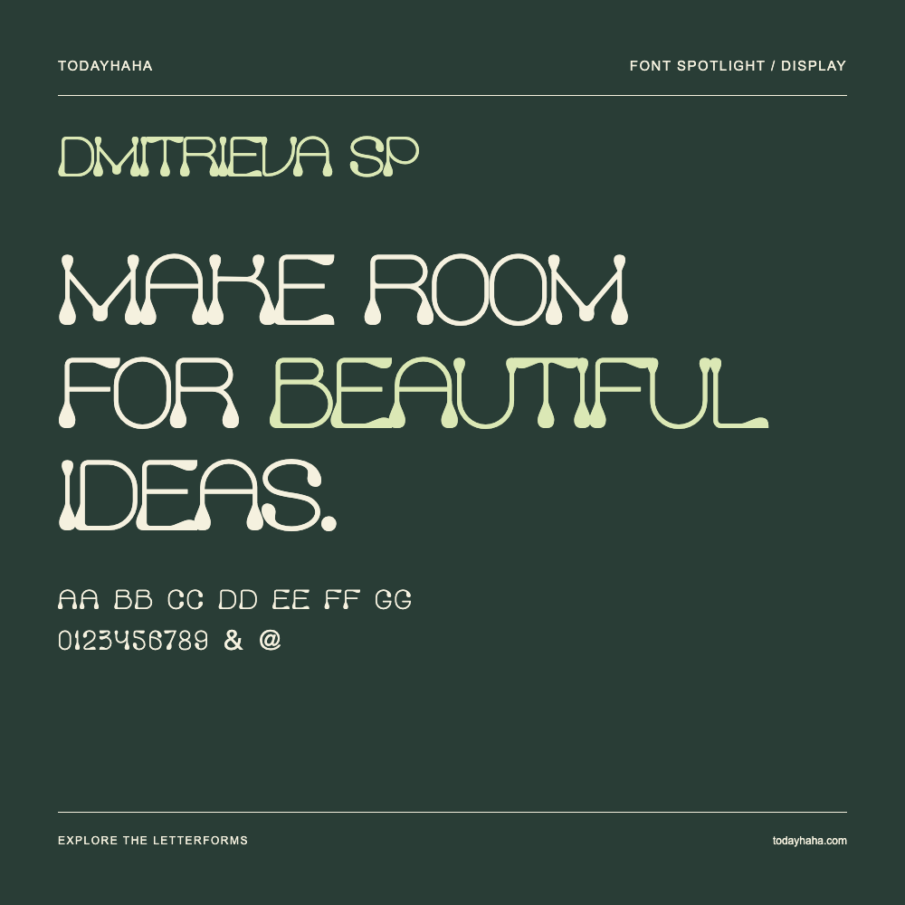 Dmitrieva SP — Typografieposter mit Beispieltext