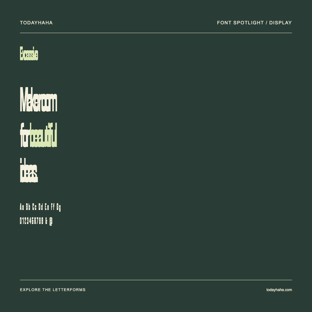 Excessive — Typografieposter mit Beispieltext