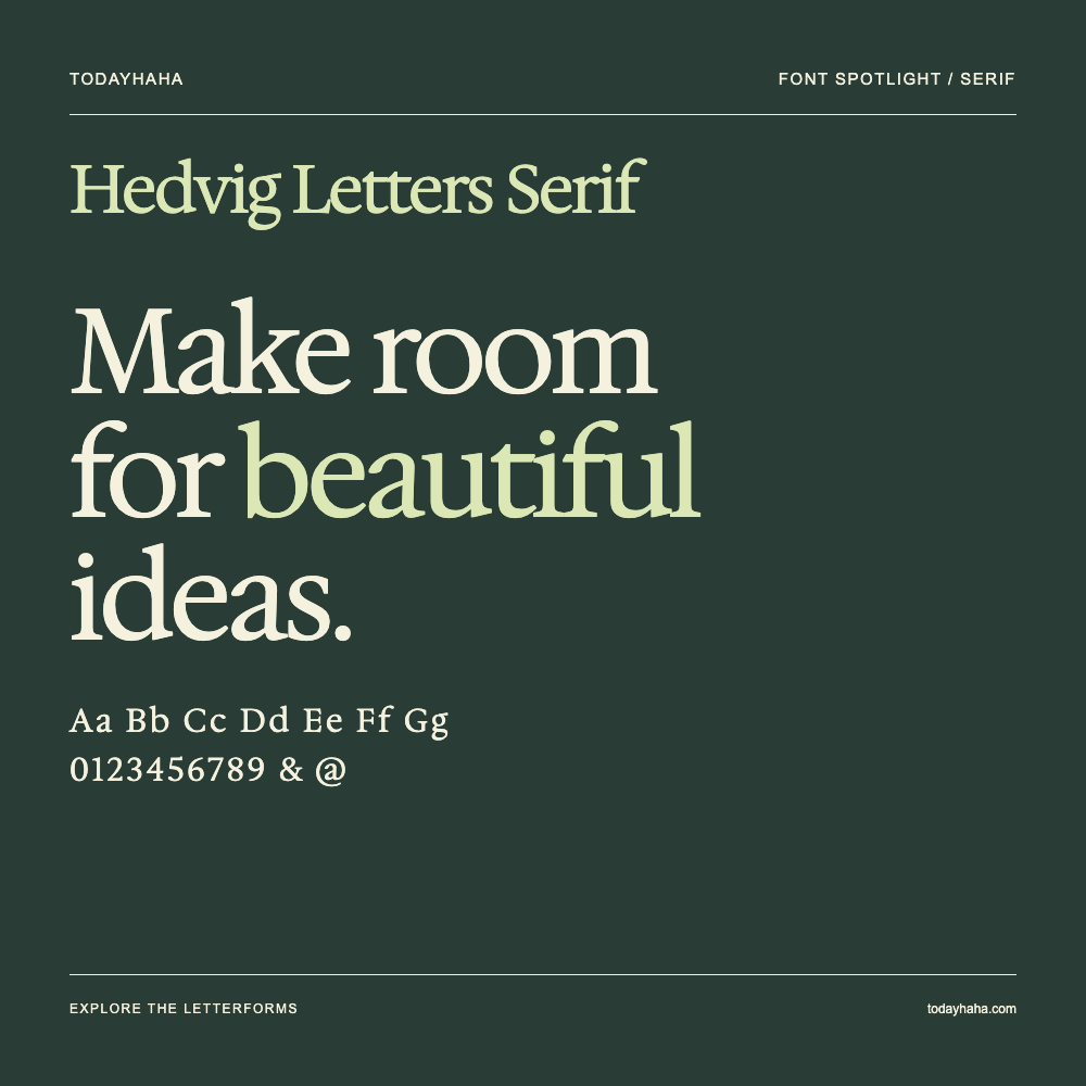 Hedvig Letters Serif — Typography poster with sample text