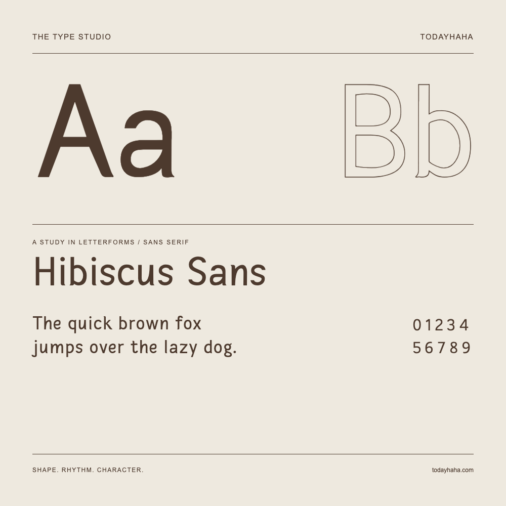 Hibiscus Sans — Estudio de letras con una frase y números