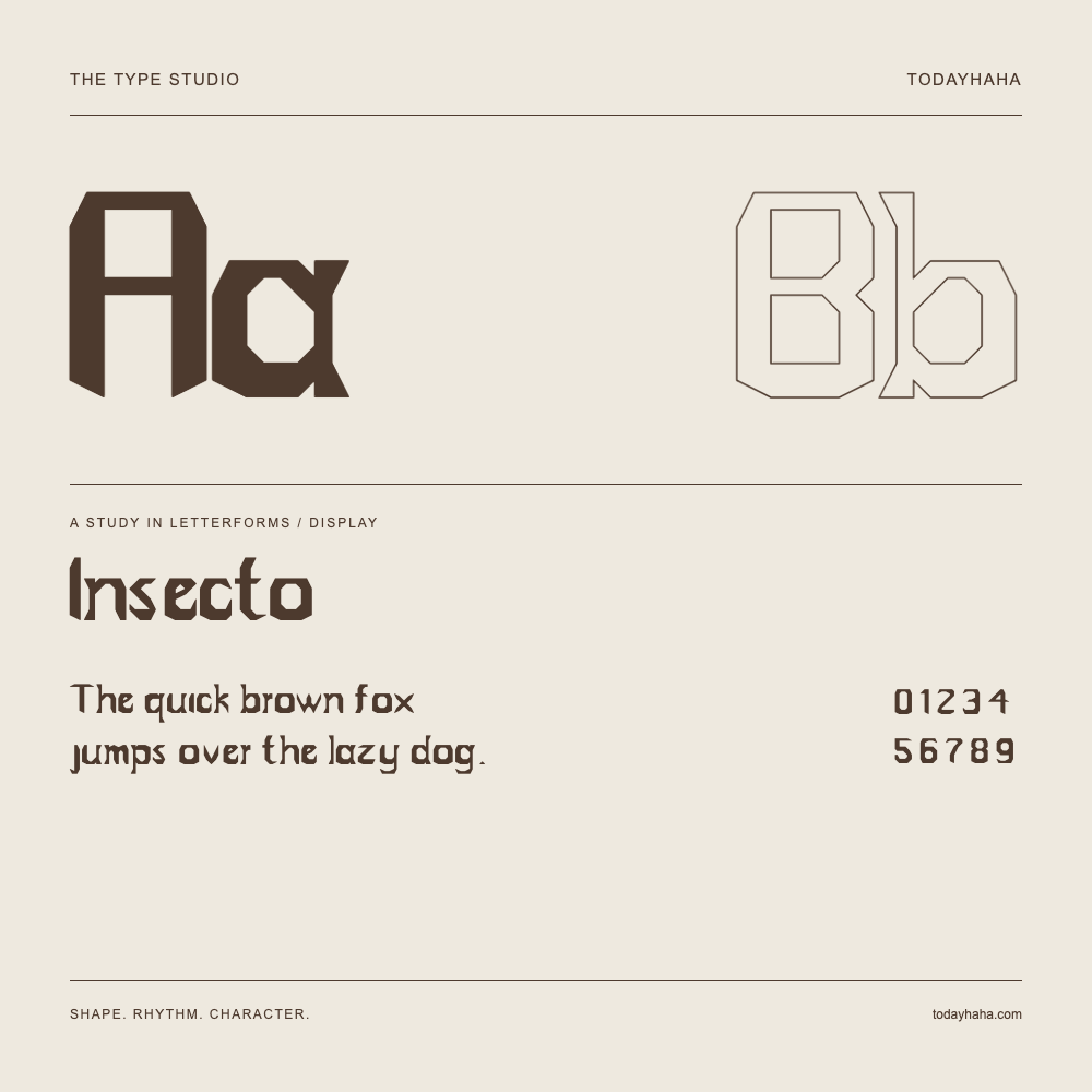 Insecto — Studio delle lettere con frase e numeri