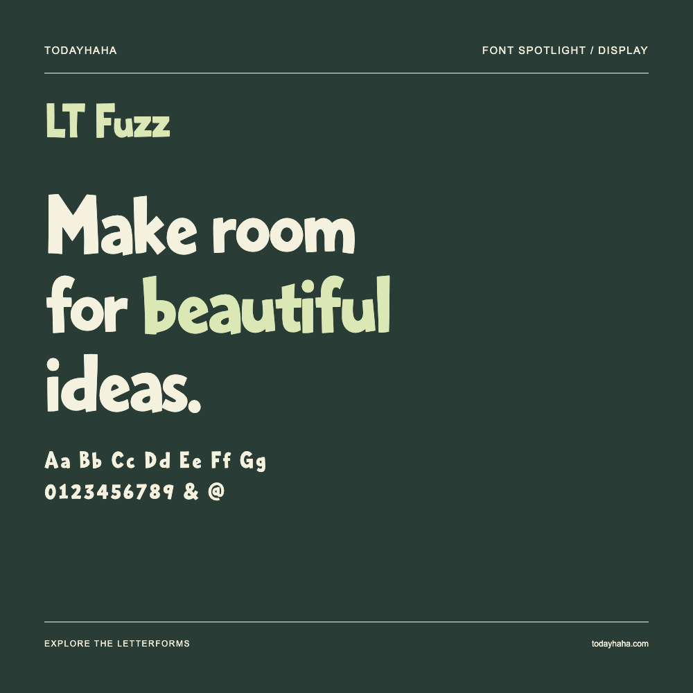 LT Fuzz — Poster tipografico con testo di esempio