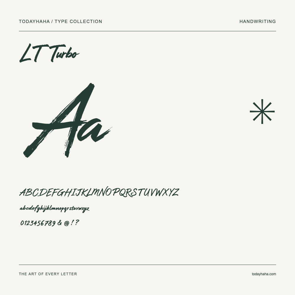 LT Turbo — Schriftmuster mit Großbuchstaben, Kleinbuchstaben und Ziffern