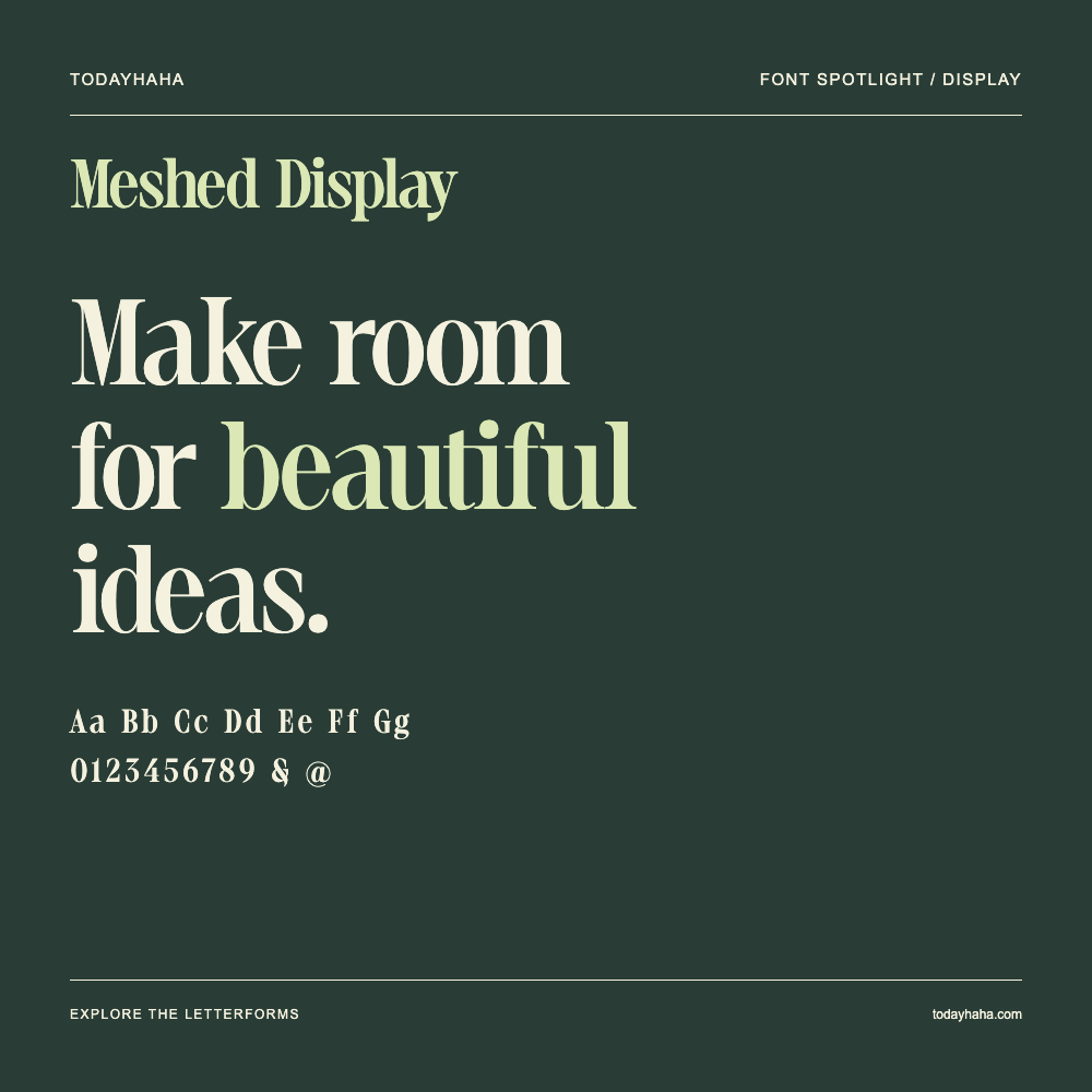 Meshed Display — Typografieposter mit Beispieltext