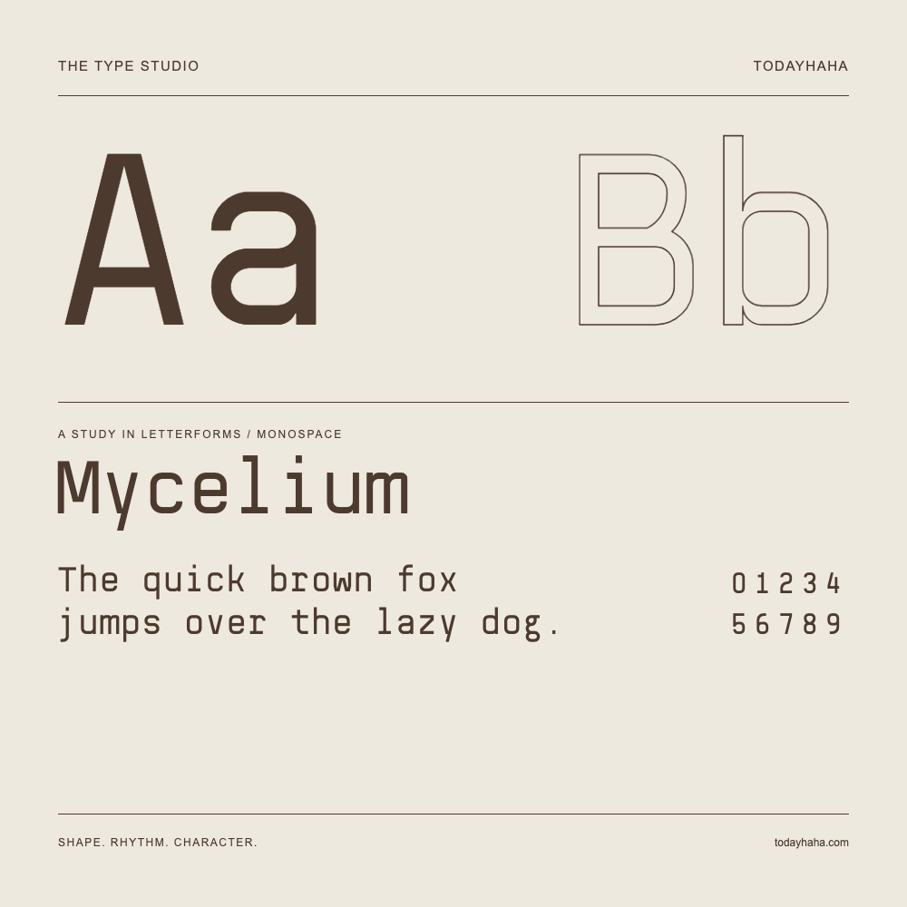 Mycelium — Buchstabenstudie mit Beispielsatz und Ziffern