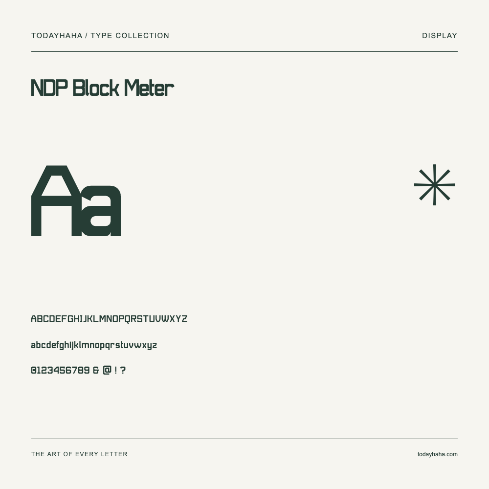 NDP Block Meter — Schriftmuster mit Großbuchstaben, Kleinbuchstaben und Ziffern