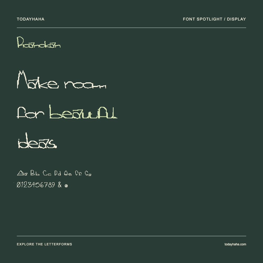Roanokan — Typografieposter mit Beispieltext