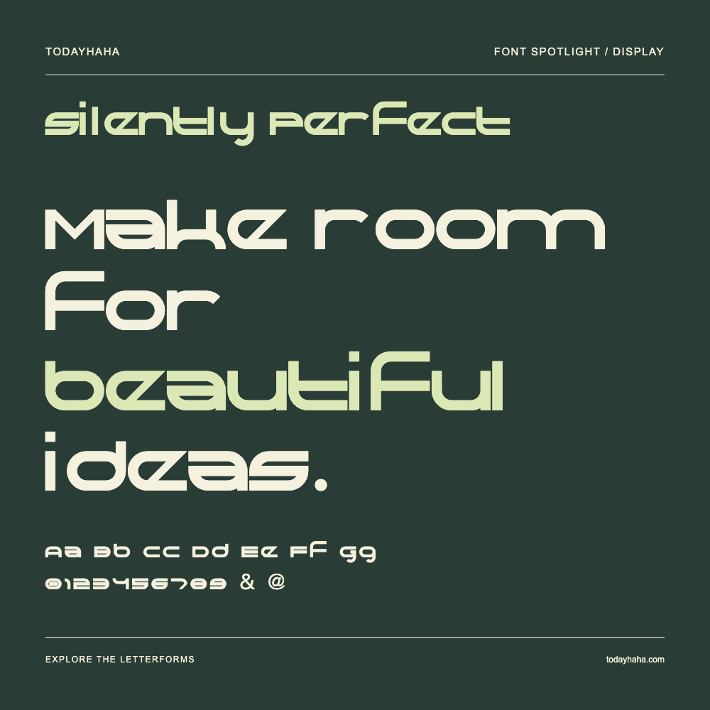 Silently Perfect — Póster tipográfico con texto de muestra