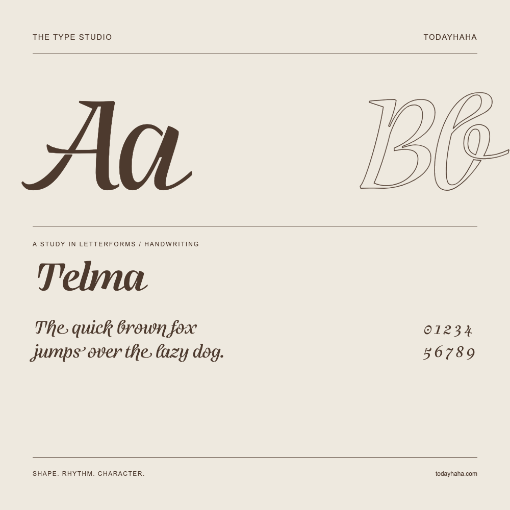 Telma — Estudio de letras con una frase y números