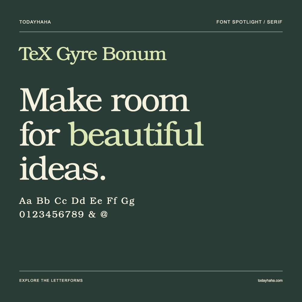 TeX Gyre Bonum — Typografieposter mit Beispieltext