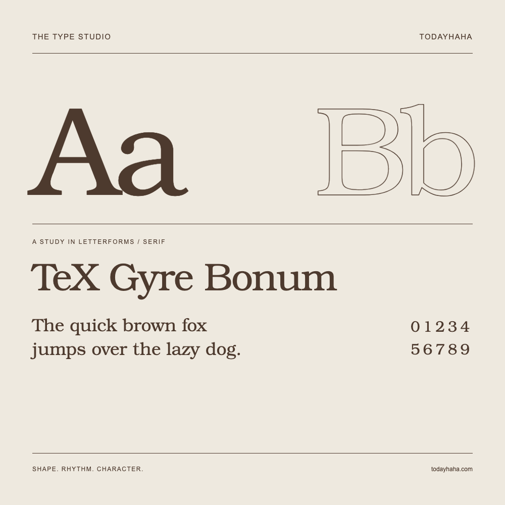 TeX Gyre Bonum — Buchstabenstudie mit Beispielsatz und Ziffern