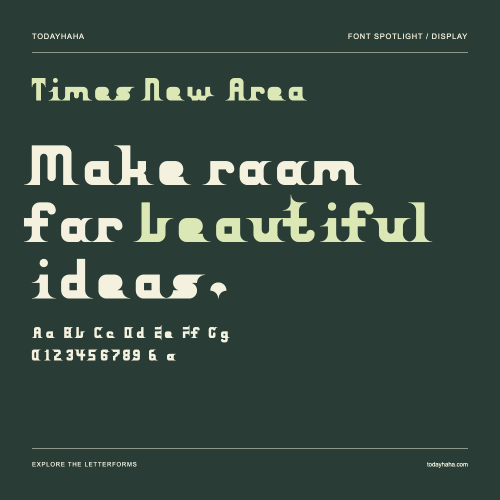 Times New Area — Typography poster with sample text