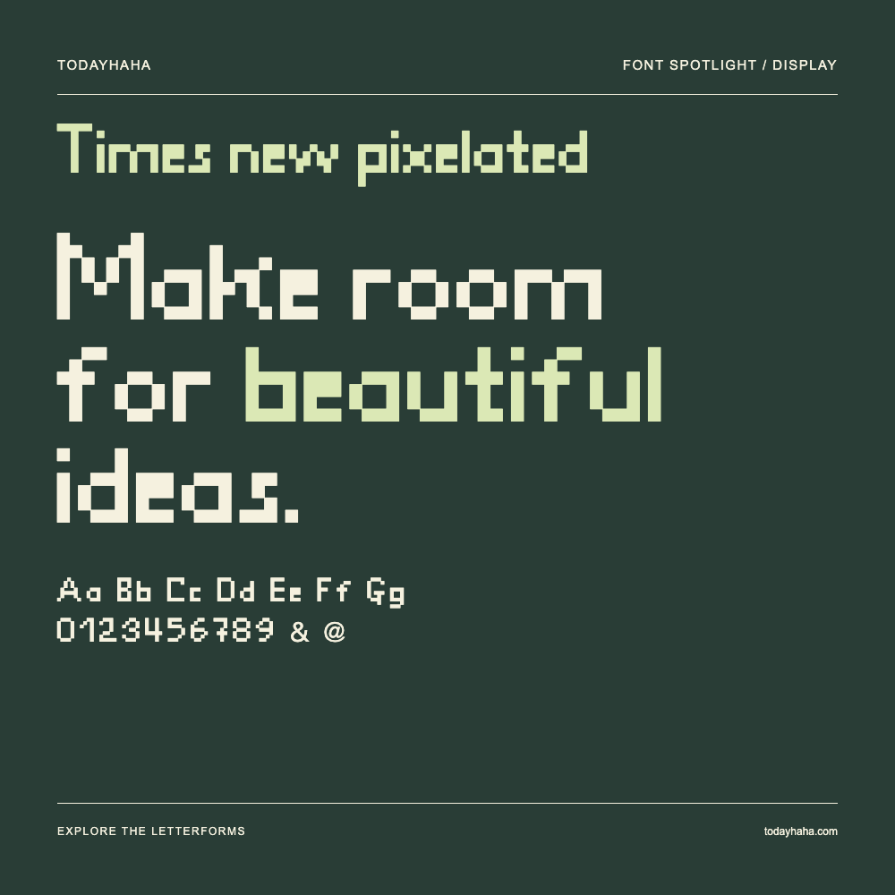 Times new pixelated — Typografieposter mit Beispieltext