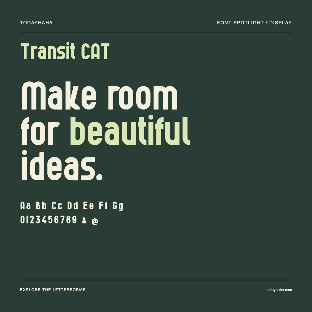 Transit CAT — Póster tipográfico con texto de muestra