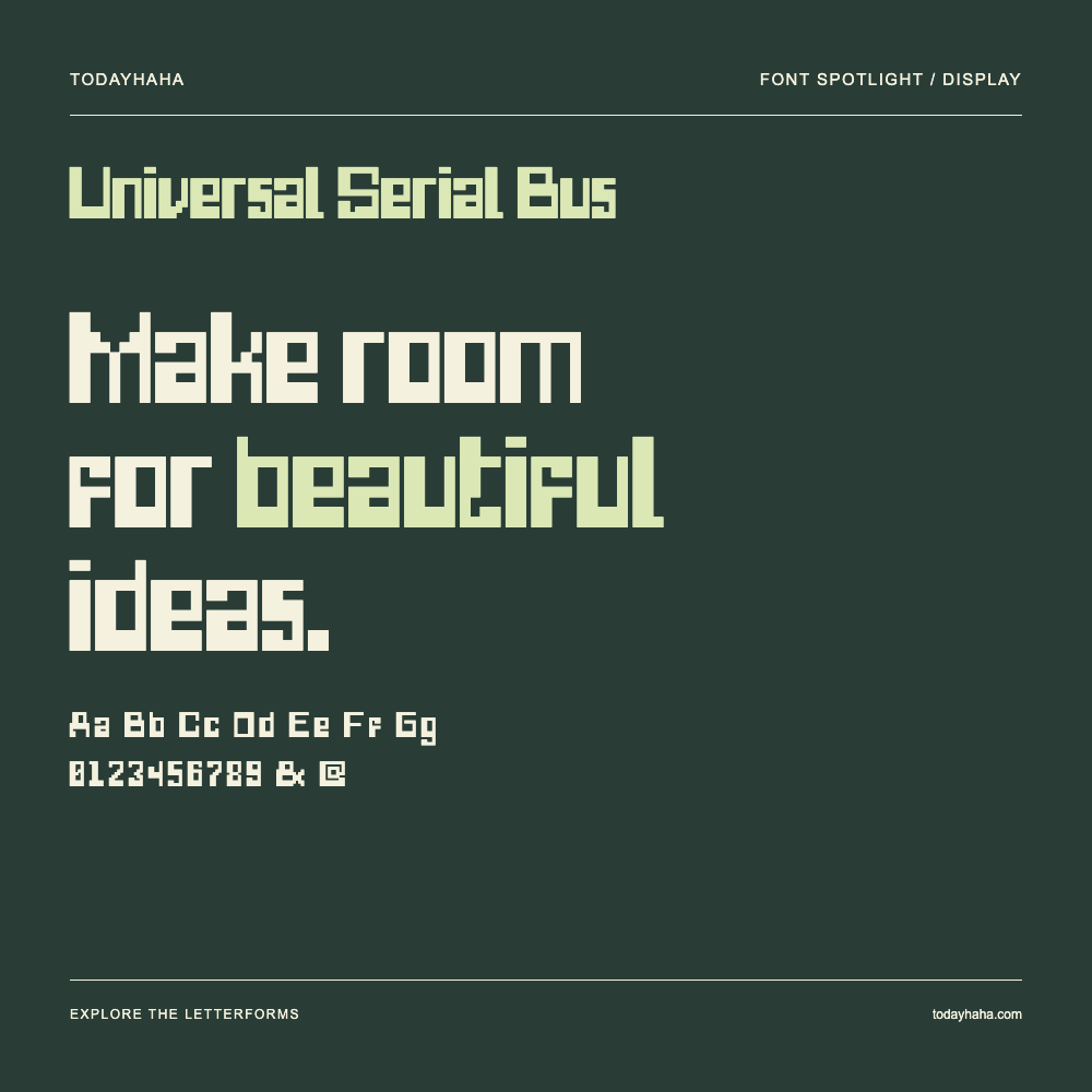Universal Serial Bus — Póster tipográfico con texto de muestra